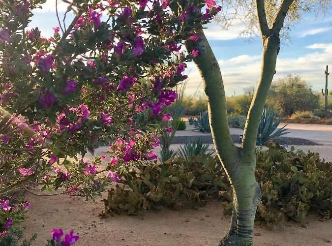 Private, Quite Casita , N. Scottsdale Area,private Pool & Patio, Az. Apartment *
